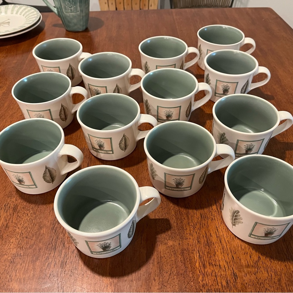 Pfaltzgraff Naturewood Tea Cup & Saucer Set